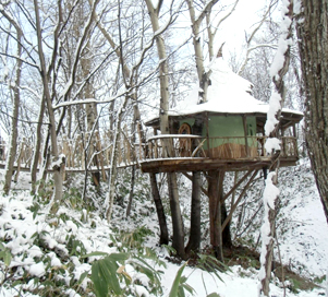 キツツキの森・冬のツリーハウス