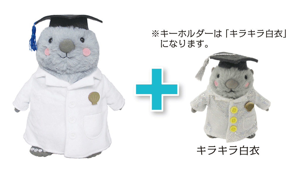 サンドラッコ博士のぬいぐるみ&キーホルダーセット3名様分