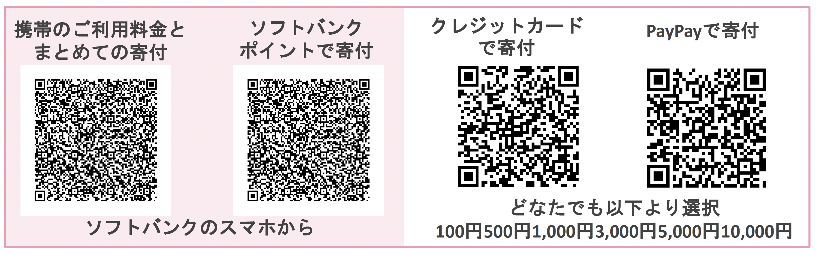 PayPayによる寄付送金